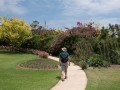 0103-1355 Hunter Valley Gardens (1070132)